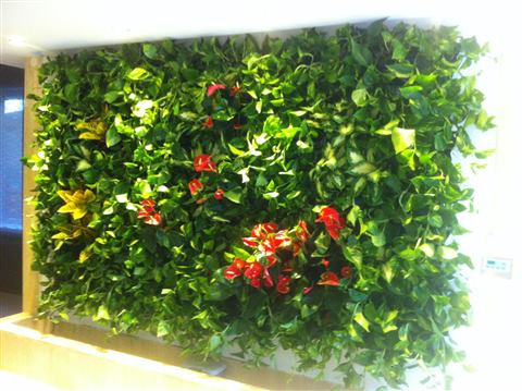Grădină verticală cu plante naturale – Iași, foto 27 din 31