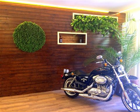 Grădină verticală cu plante naturale – Jack Daniel's, foto 1 din 38