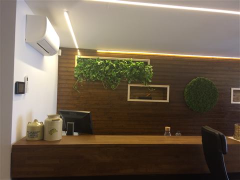 Grădină verticală cu plante naturale – Jack Daniel's, foto 2 din 38