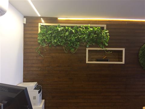 Grădină verticală cu plante naturale – Jack Daniel's, foto 3 din 38