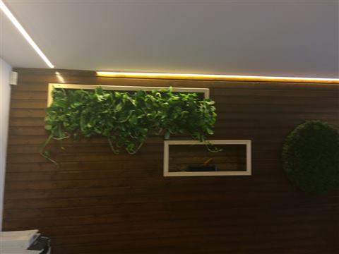 Grădină verticală cu plante naturale – Jack Daniel's, foto 4 din 38