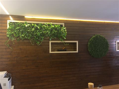 Grădină verticală cu plante naturale – Jack Daniel's, foto 5 din 38