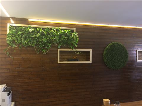 Grădină verticală cu plante naturale – Jack Daniel's, foto 6 din 38