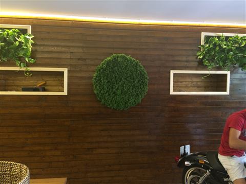 Grădină verticală cu plante naturale – Jack Daniel's, foto 8 din 38