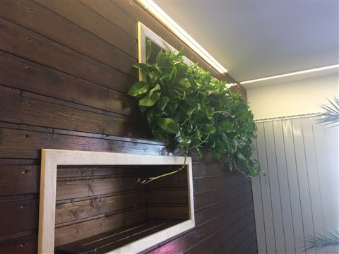Grădină verticală cu plante naturale – Jack Daniel's, foto 9 din 38