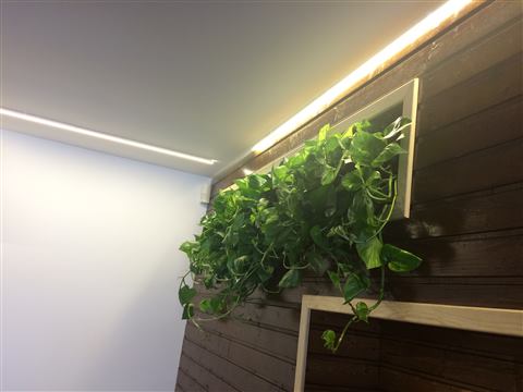 Grădină verticală cu plante naturale – Jack Daniel's, foto 12 din 38