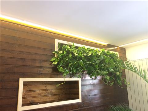 Grădină verticală cu plante naturale – Jack Daniel's, foto 16 din 38