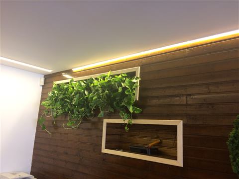 Grădină verticală cu plante naturale – Jack Daniel's, foto 17 din 38