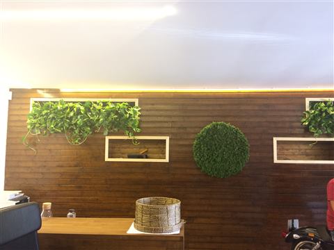 Grădină verticală cu plante naturale – Jack Daniel's, foto 18 din 38