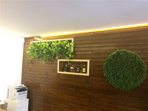 Grădină verticală cu plante naturale – Jack Daniel's, foto 33 din 38