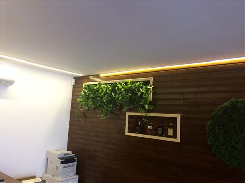 Grădină verticală cu plante naturale – Jack Daniel's, foto 34 din 38