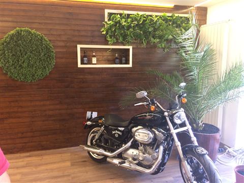 Grădină verticală cu plante naturale – Jack Daniel's, foto 37 din 38