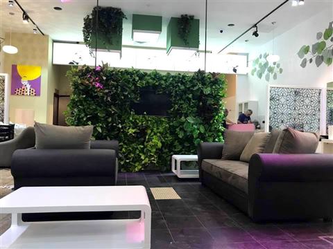 Grădină verticală cu plante naturale – Patio, foto 2 din 10