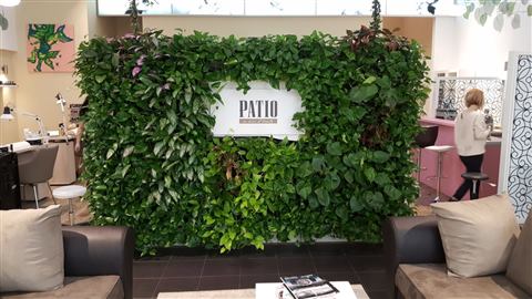 Grădină verticală cu plante naturale – Patio, foto 5 din 10