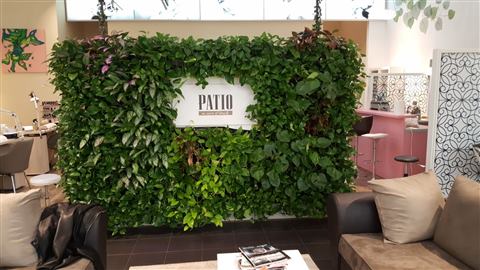 Grădină verticală cu plante naturale – Patio, foto 6 din 10