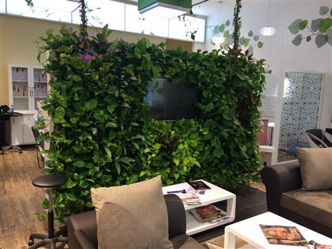 Grădină verticală cu plante naturale – Patio, foto 9 din 10