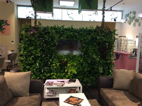 Grădină verticală cu plante naturale – Patio, foto 10 din 10