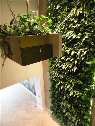 Grădină verticală cu plante naturale – Ploiești, foto 7 din 13