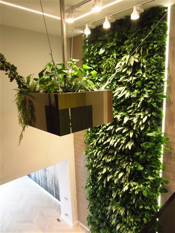 Grădină verticală cu plante naturale – Ploiești, foto 8 din 13