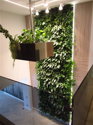 Grădină verticală cu plante naturale – Ploiești, foto 9 din 13