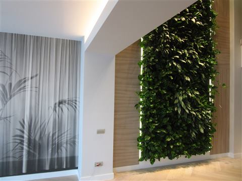 Grădină verticală cu plante naturale – Ploiești, foto 12 din 13