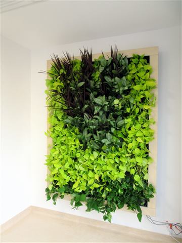 Grădină verticală cu plante naturale – Ponderas, foto 3 din 21