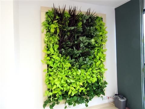 Grădină verticală cu plante naturale – Ponderas, foto 4 din 21
