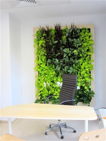 Grădină verticală cu plante naturale – Ponderas, foto 5 din 21