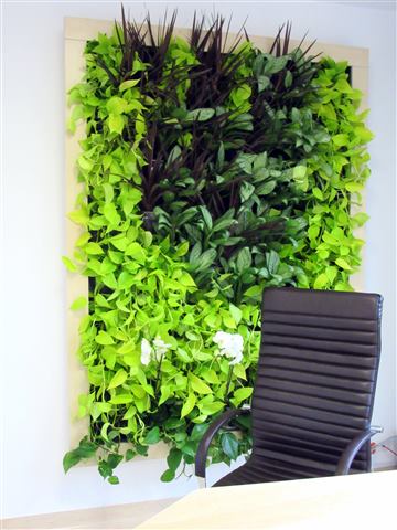 Grădină verticală cu plante naturale – Ponderas, foto 8 din 21