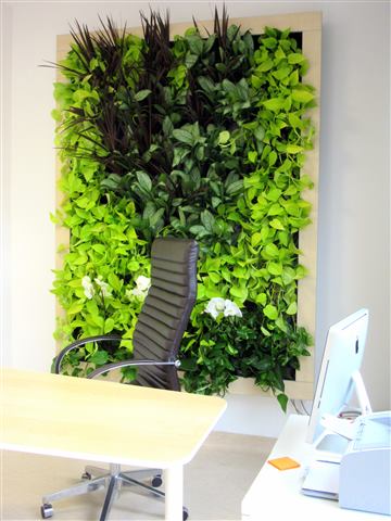 Grădină verticală cu plante naturale – Ponderas, foto 9 din 21