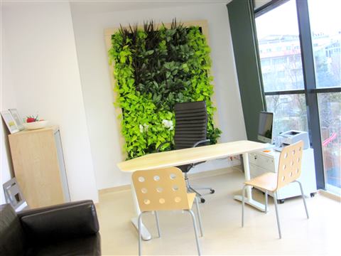 Grădină verticală cu plante naturale – Ponderas, foto 12 din 21