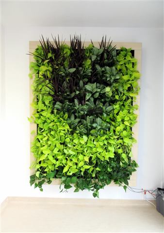 Grădină verticală cu plante naturale – Ponderas, foto 18 din 21
