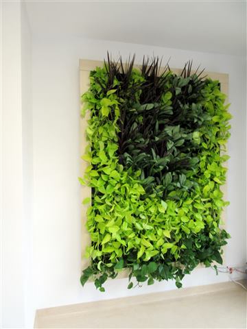 Grădină verticală cu plante naturale – Ponderas, foto 21 din 21