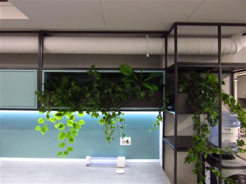 Grădină verticală cu plante naturale – REI, foto 2 din 33