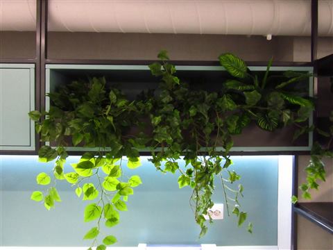 Grădină verticală cu plante naturale – REI, foto 4 din 33
