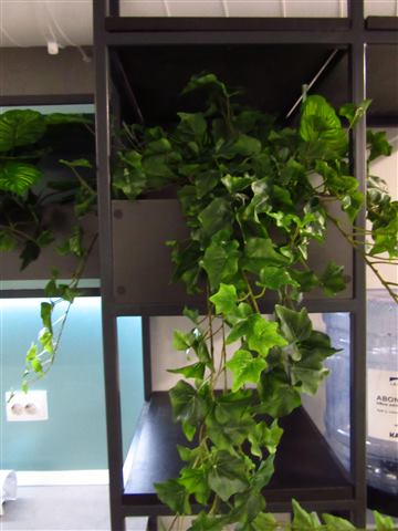 Grădină verticală cu plante naturale – REI, foto 5 din 33