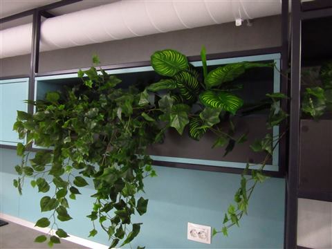 Grădină verticală cu plante naturale – REI, foto 6 din 33