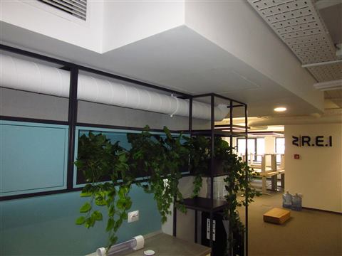Grădină verticală cu plante naturale – REI, foto 12 din 33