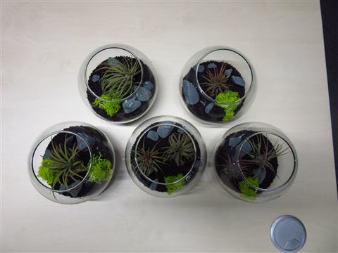 Grădină verticală cu plante naturale – REI, foto 13 din 33