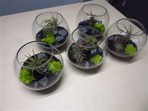 Grădină verticală cu plante naturale – REI, foto 14 din 33