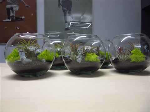 Grădină verticală cu plante naturale – REI, foto 15 din 33