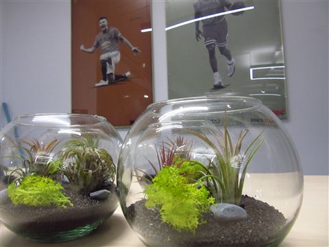 Grădină verticală cu plante naturale – REI, foto 20 din 33