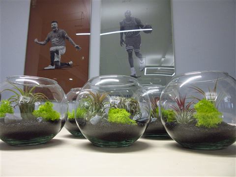 Grădină verticală cu plante naturale – REI, foto 21 din 33