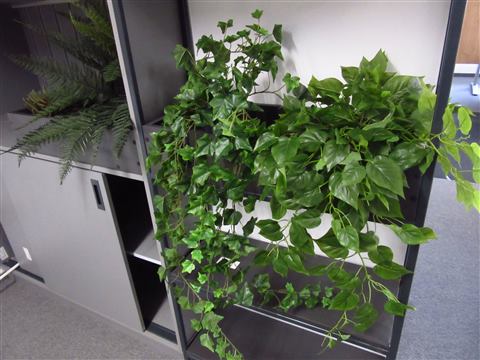 Grădină verticală cu plante naturale – REI, foto 22 din 33