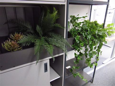 Grădină verticală cu plante naturale – REI, foto 23 din 33