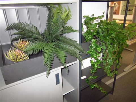 Grădină verticală cu plante naturale – REI, foto 24 din 33