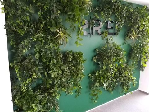 Grădină verticală cu plante naturale – REI, foto 25 din 33