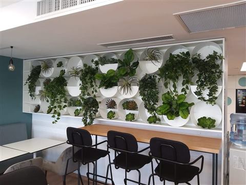 Grădină verticală cu plante naturale – REI, foto 28 din 33