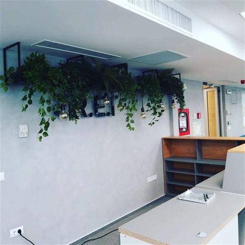 Grădină verticală cu plante naturale – REI, foto 32 din 33