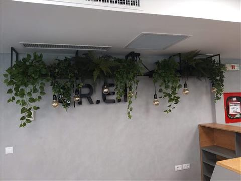 Grădină verticală cu plante naturale – REI, foto 33 din 33